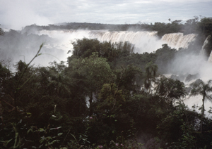 LEICA M6, SUMMICRON 2/50